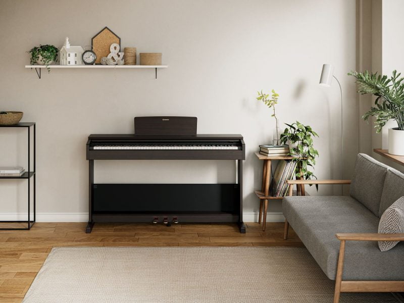 YAMAHA CK61 - Hình ảnh 2
