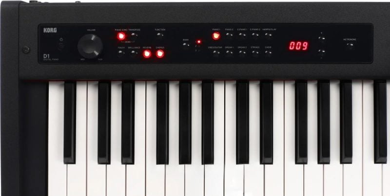 KORG D1 - Hình ảnh 2